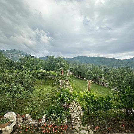 Vila Disha Tirana Esterno foto