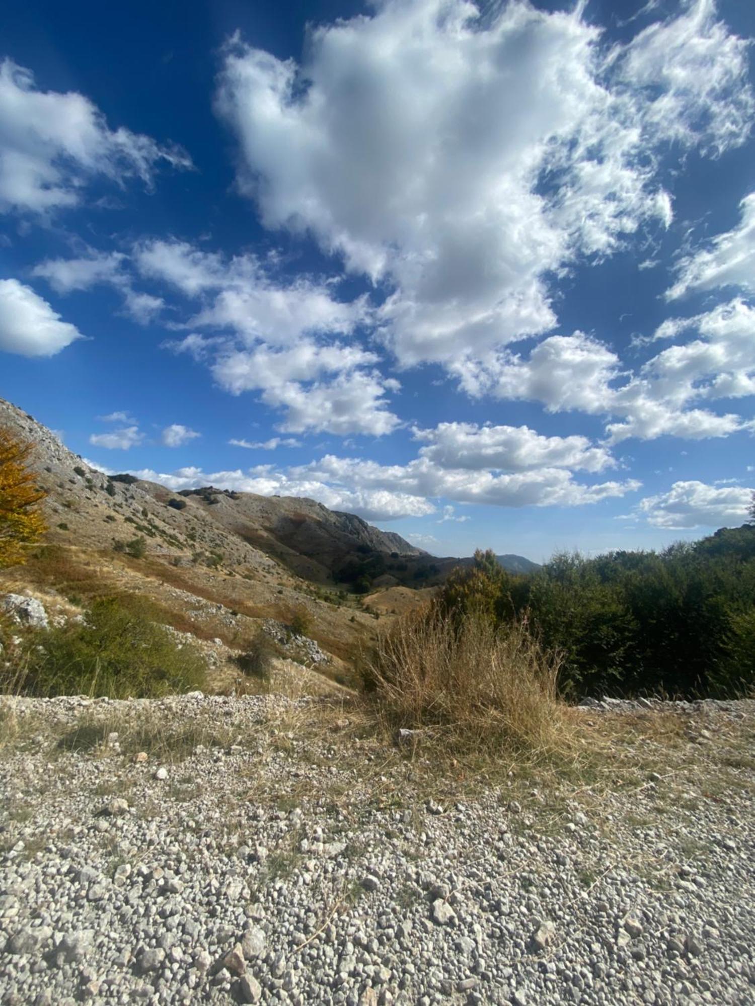 Vila Disha Tirana Esterno foto