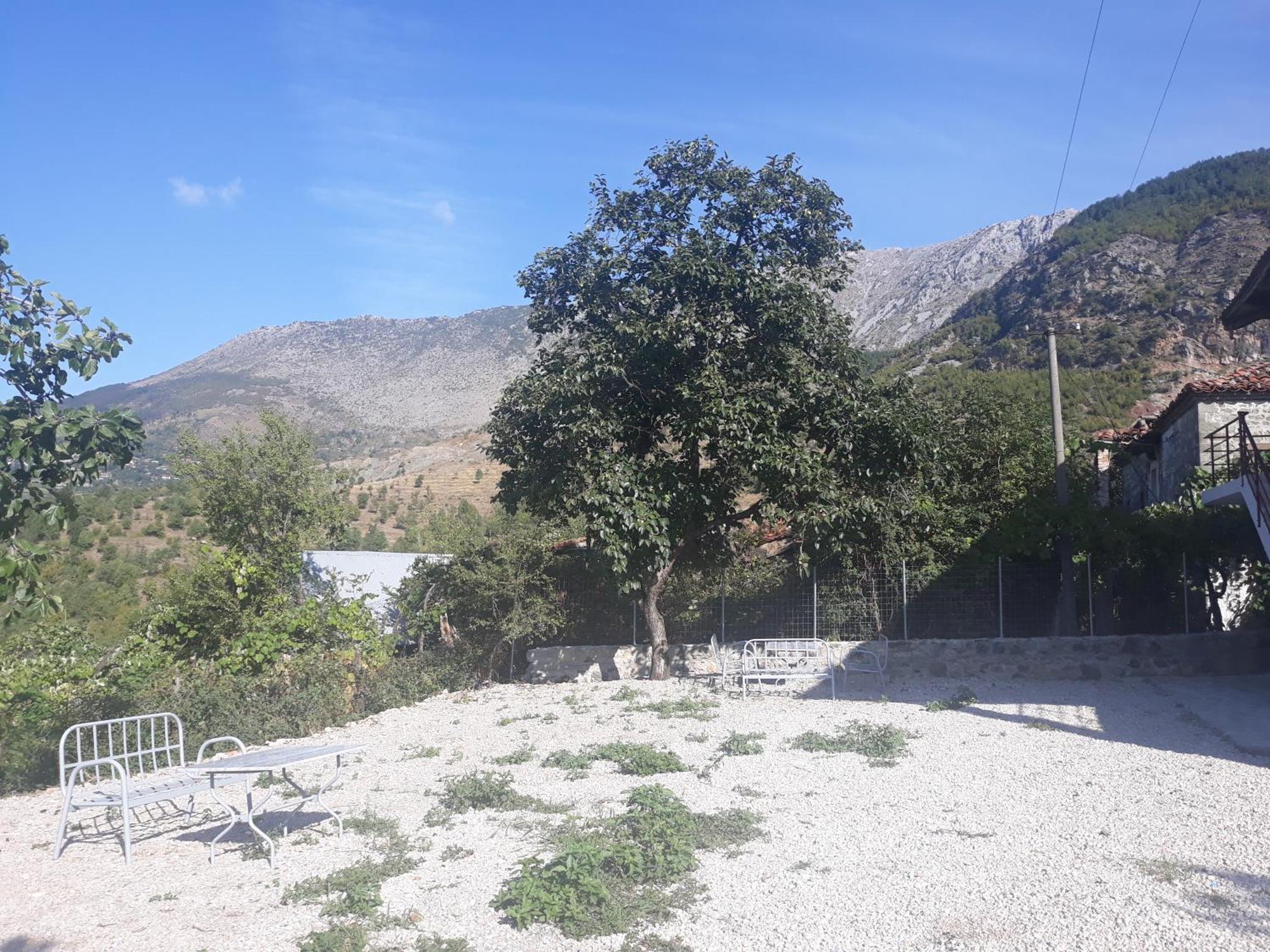 Vila Disha Tirana Camera foto