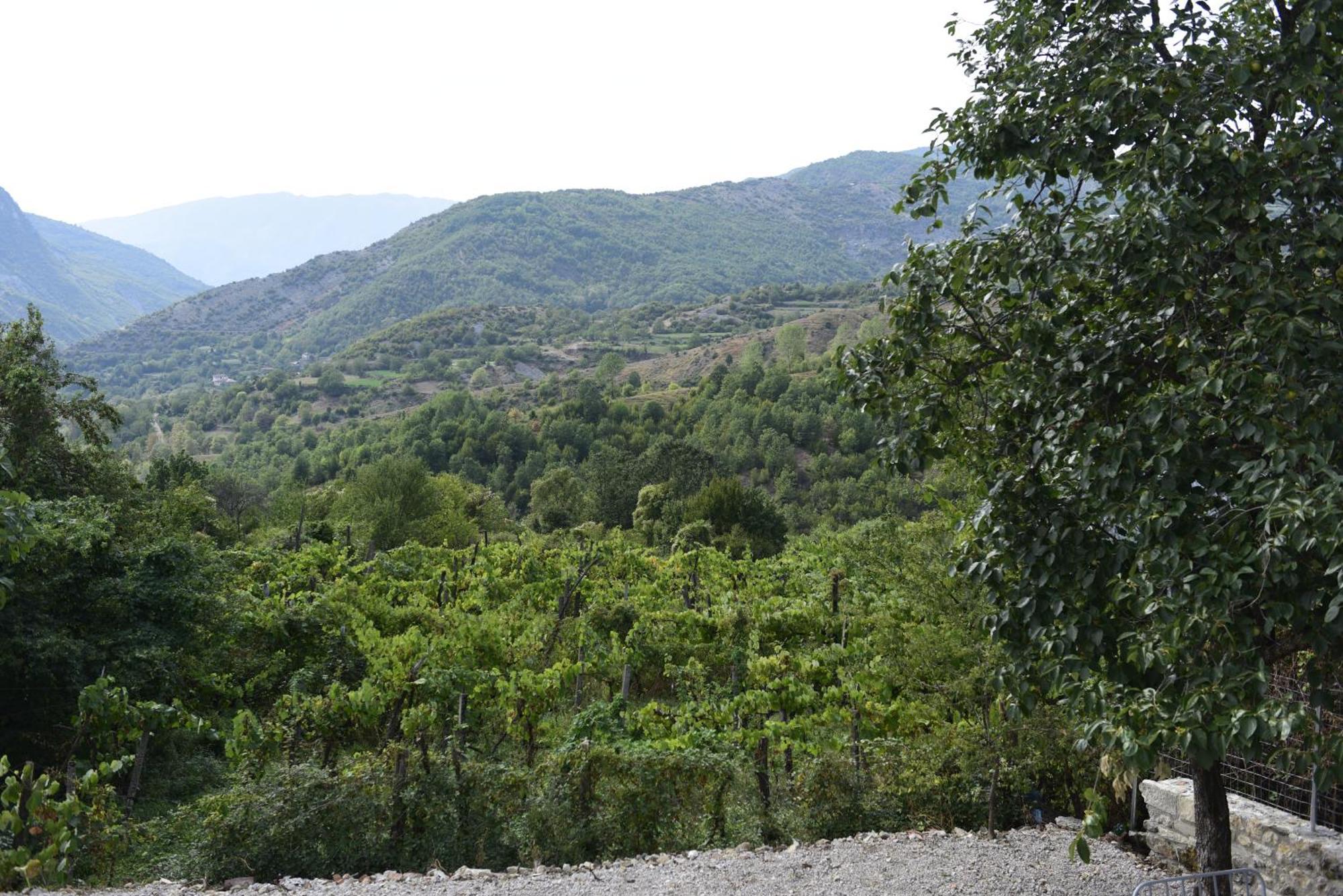 Vila Disha Tirana Camera foto