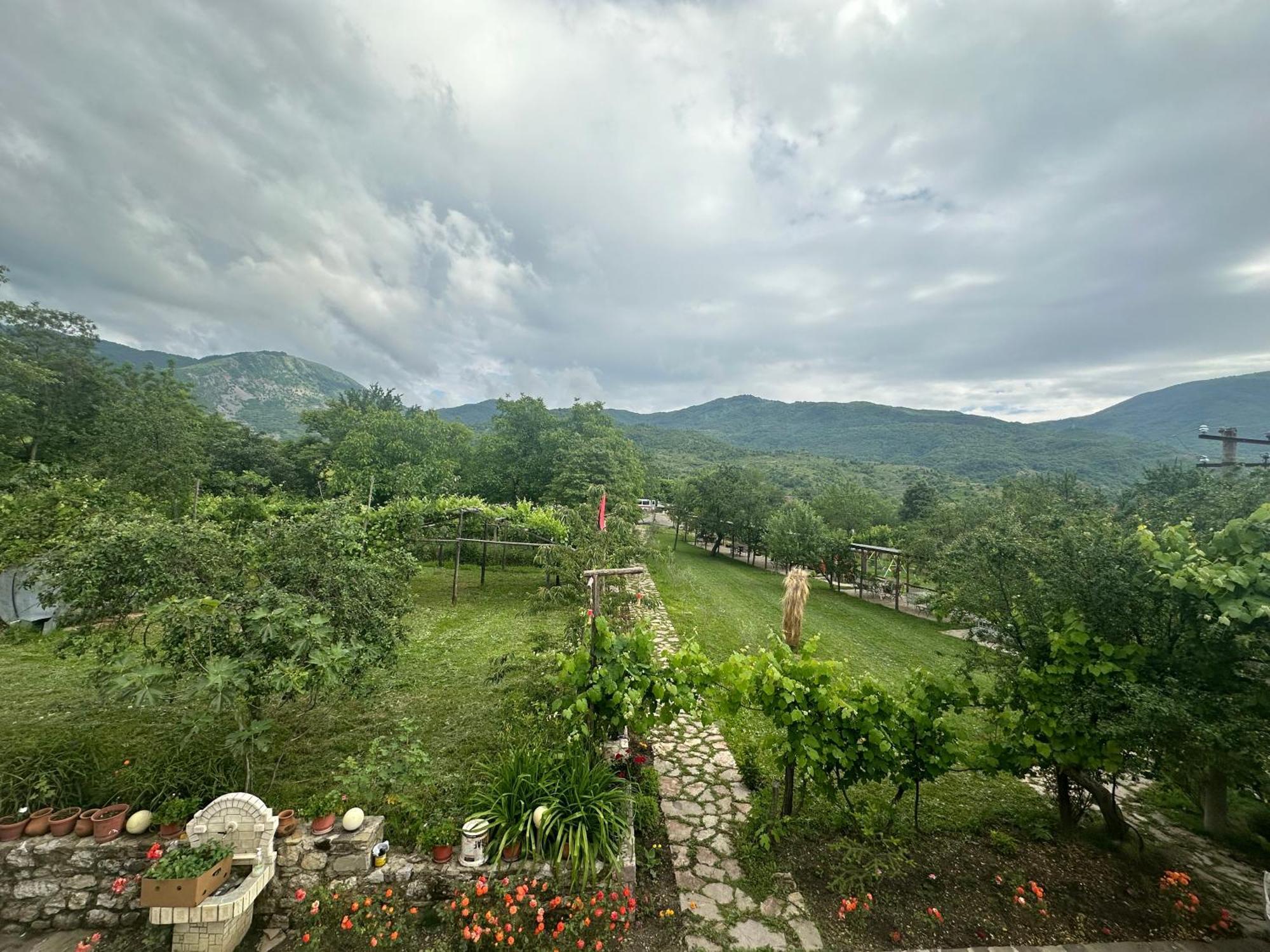 Vila Disha Tirana Esterno foto