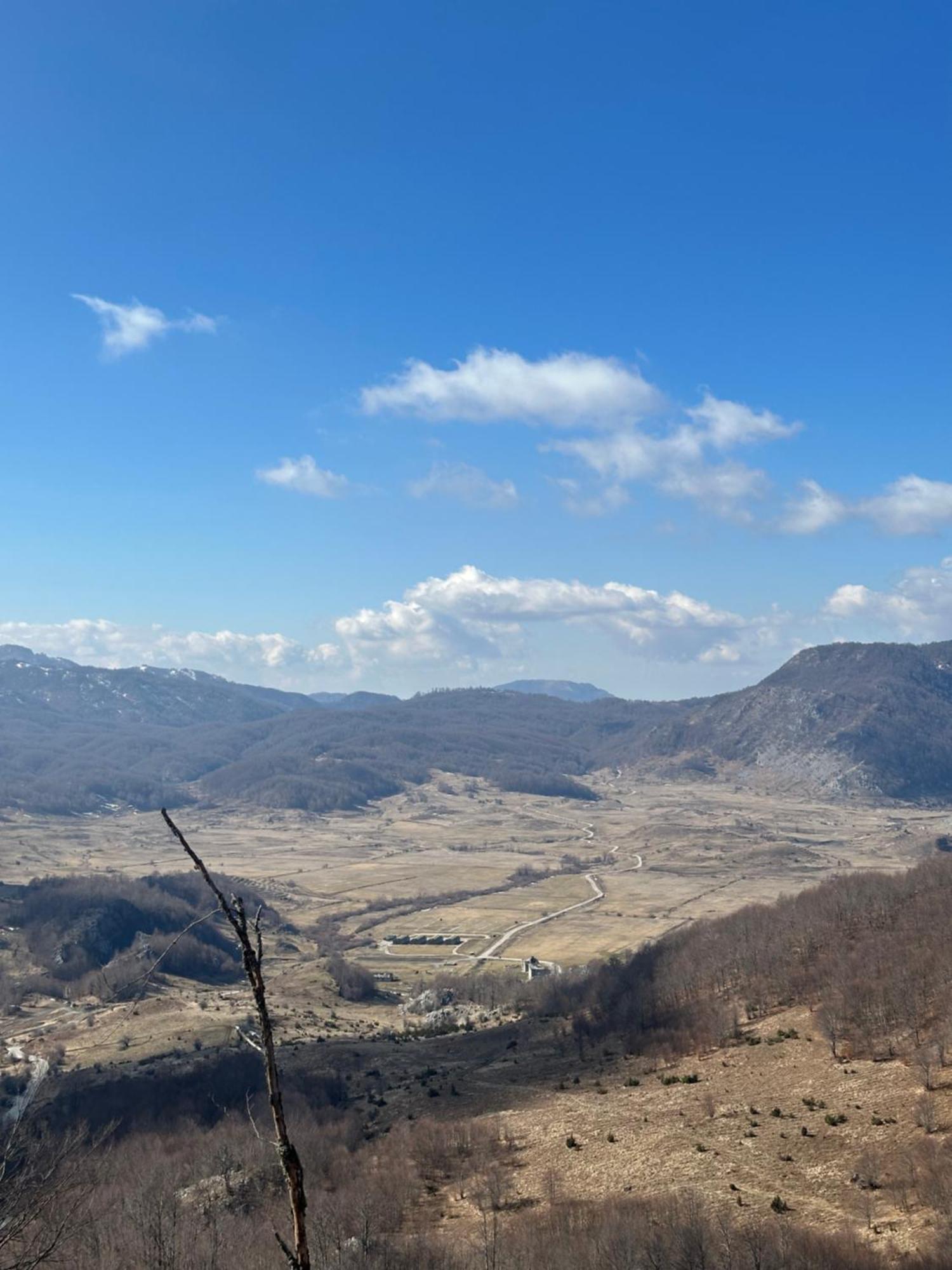 Vila Disha Tirana Esterno foto