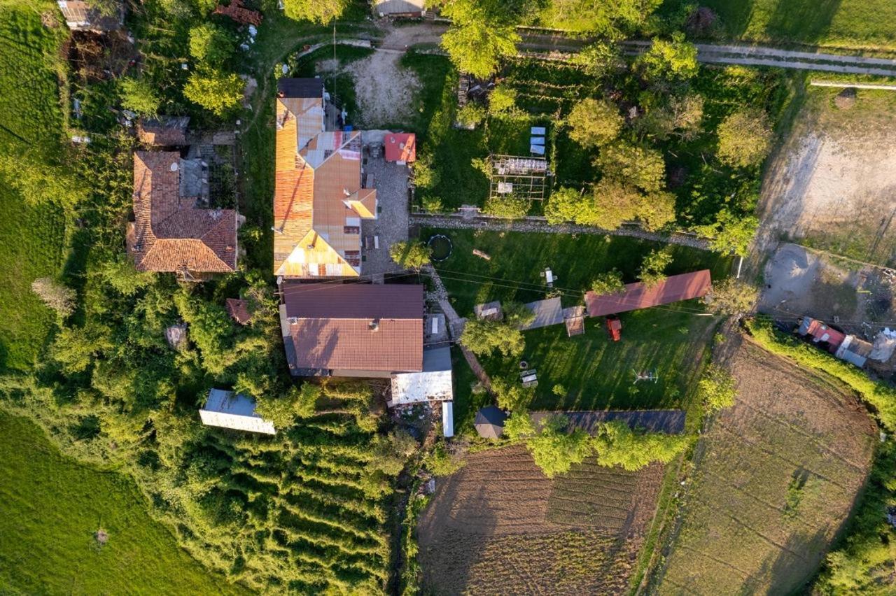 Vila Disha Tirana Esterno foto